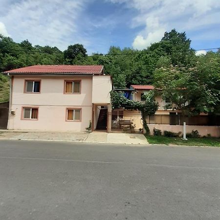 Apartamento Casa Iza Băile Herculane Exterior foto