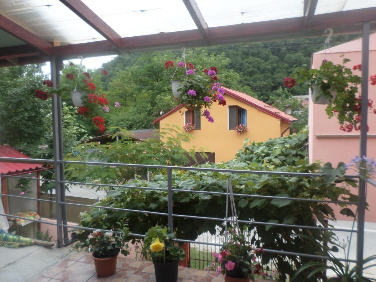 Apartamento Casa Iza Băile Herculane Exterior foto